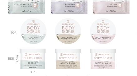 Screen Shot 2019-02-17 at 1.48.47 PM copy